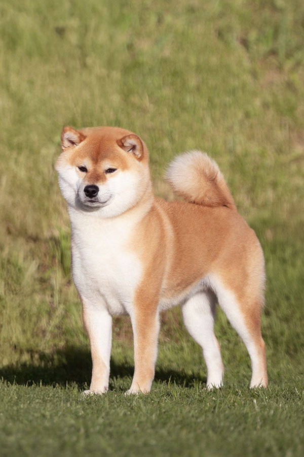 Yuki Go Del Biagio