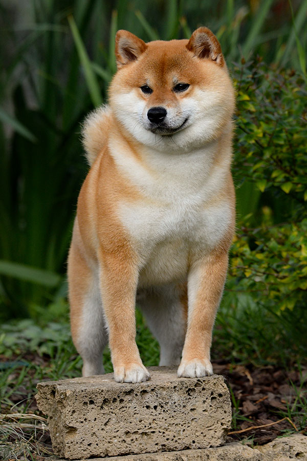Yuko Go Del Biagio